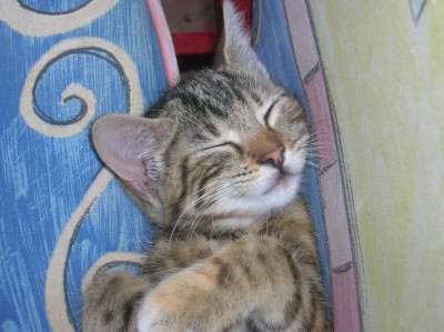 DSCN1570.JPG