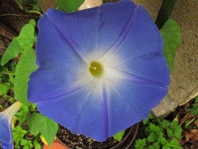 13.07.11.JPG