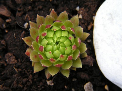 PICT0567.JPG