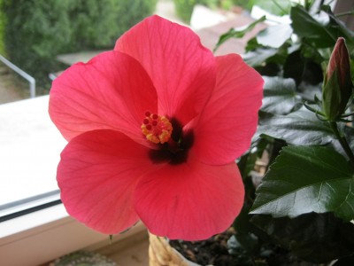 IMG_1344.JPG