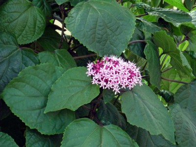 P1010665.JPG