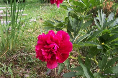 100_6044.JPG