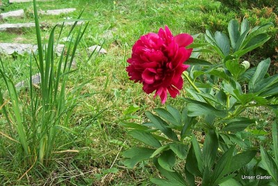 100_6045.JPG
