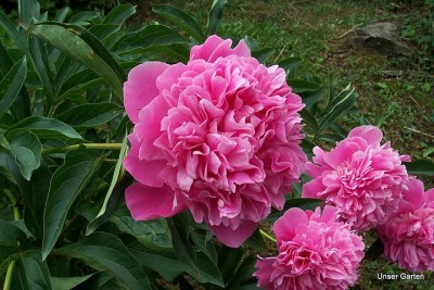 100_6052.JPG