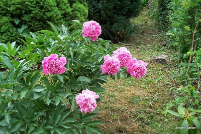 100_6051.JPG