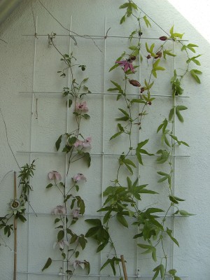 BILD0043.JPG