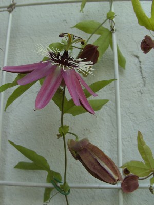 BILD0041.JPG