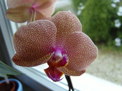 S1030150.JPG