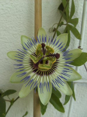 BILD0039.JPG