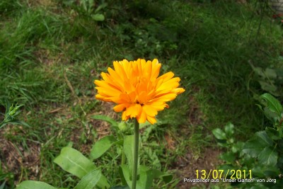 100_6505.JPG