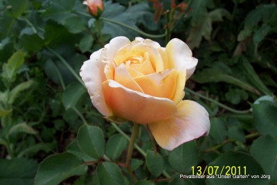 100_6499.JPG