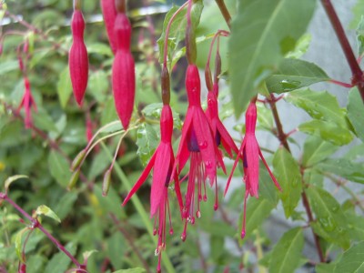 S1030511.JPG