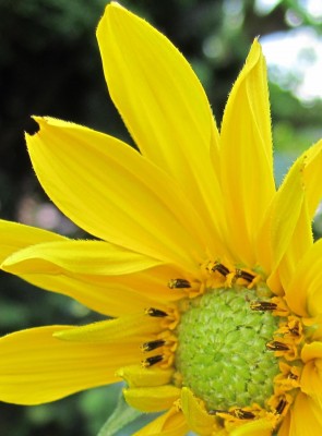 Bild green24 167.jpg