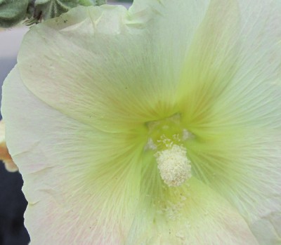 Bild green24 161.jpg