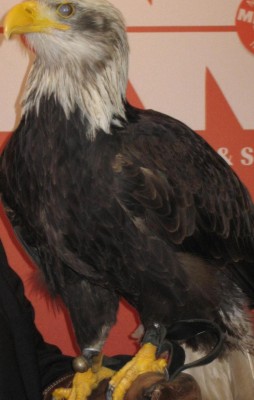 Bild green24 155.jpg