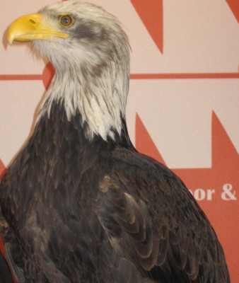 Bild green24 156.jpg