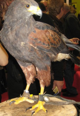 Bild green24 154.jpg