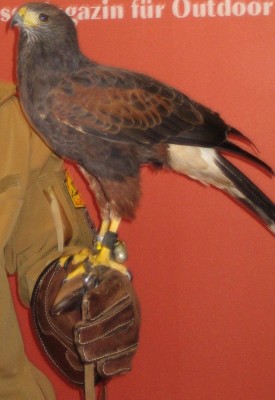 Bild green24 152.jpg