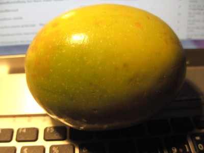 BILD0057.JPG