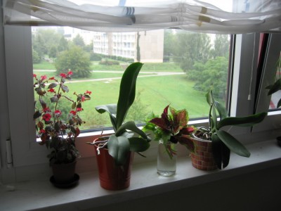 IMG_5736.JPG