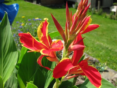 IMG_3144.jpg