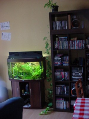 DSC02076.JPG
