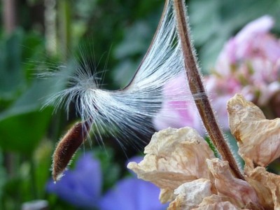 068 (640x480) - Kopie.jpg