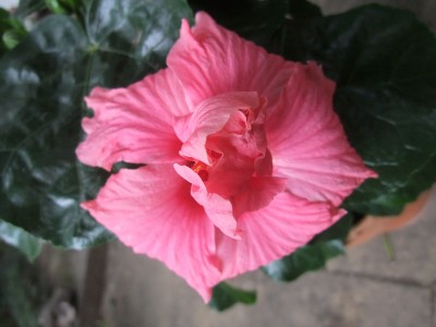 DSCF8063.JPG