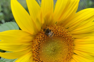 abdsuifd 017 (2000x1328).jpg