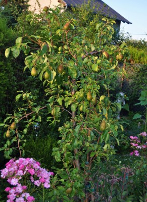 10.7. (1453x2000).jpg