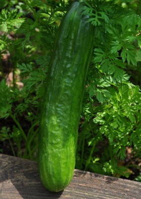 7.7 (21) (1418x2000).jpg