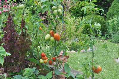 abdsuifd 014 (2000x1328).jpg