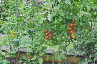 abdsuifd 013 (2000x1328).jpg