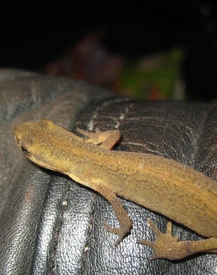 Bild green24 193.jpg