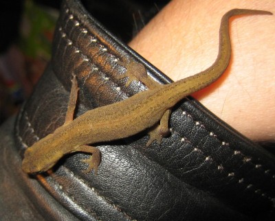 Bild green24 192.jpg