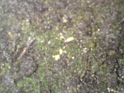 DSC01373.JPG