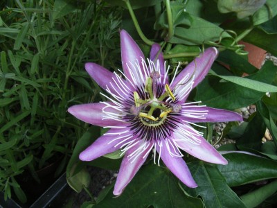 RIMG0048.JPG