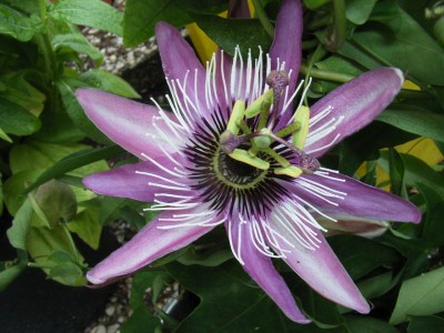 RIMG0041.JPG