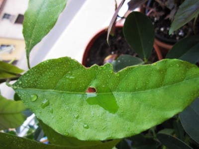 Kopie von Mai 051.jpg