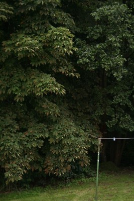 Bild 534.jpg