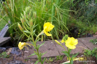 100_6827.JPG