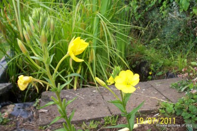100_6825.JPG