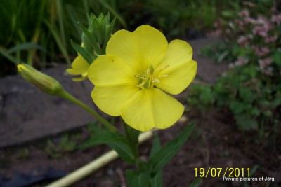 100_6824.JPG