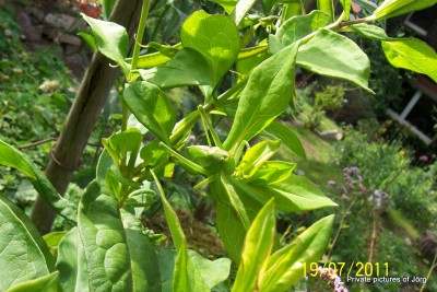 100_6712.JPG