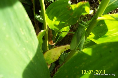 100_6708.JPG