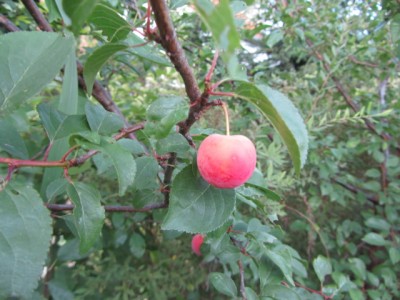 IMG_1756.jpg