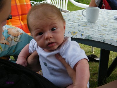 neue bilder mai 136.jpg