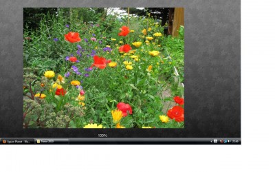 Blumenbeet.jpg