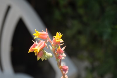 ewewgh 017 (2000x1328).jpg