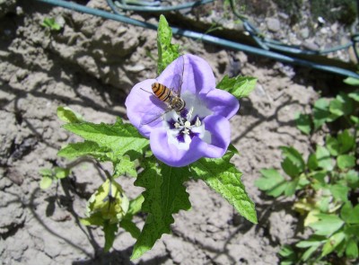 PIC_0025.JPG